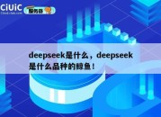 deepseek是什么，deepseek是什么品种的鲸鱼！