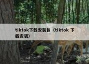 tiktok下载安装包（tiktok 下载安装）