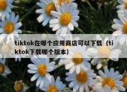 tiktok在哪个应用商店可以下载（tiktok下载哪个版本）