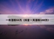 一夜涨粉60万（抖音一天涨粉100万）