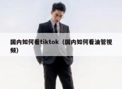 国内如何看tiktok（国内如何看油管视频）