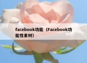 facebook功能（Facebook功能性素材）