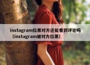 instagram拉黑对方还能看到评论吗（instagram被对方拉黑）