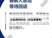 什么叫tiktok（什么叫体考）