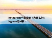 instagram一夜掉粉（为什么instagram老掉粉）