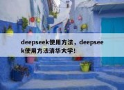 deepseek使用方法，deepseek使用方法清华大学！