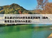 怎么通过tiktok把东西卖到国外（国内商家怎么在tiktok卖货）