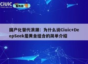 国产化替代浪潮：为什么说Ciuic+DeepSeek是黄金组合的简单介绍