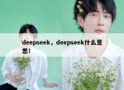 deepseek，deepseek什么意思！