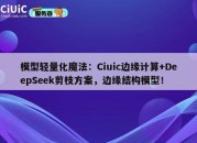 模型轻量化魔法：Ciuic边缘计算+DeepSeek剪枝方案，边缘结构模型！