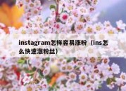 instagram怎样容易涨粉（ins怎么快速涨粉丝）