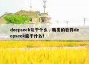 deepseek能干什么，新出的软件deepseek能干什么！