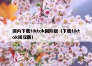 国内下载tiktok国际版（下载tiktok国际版）