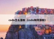 csdn怎么涨粉（csdn如何涨粉）