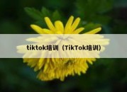 tiktok培训（TikTok培训）