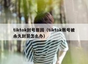 tiktok封号原因（tiktok账号被永久封禁怎么办）