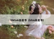 tiktok白皮书（btm白皮书）