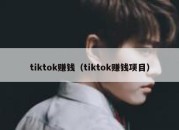 tiktok赚钱（tiktok赚钱项目）