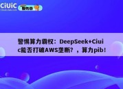 警惕算力霸权：DeepSeek+Ciuic能否打破AWS垄断？，算力pib！
