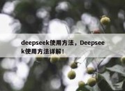 deepseek使用方法，Deepseek使用方法详解！