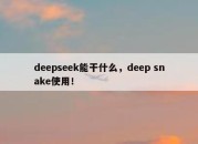 deepseek能干什么，deep snake使用！