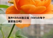 海外tiktok独立站（tiktok每个国家独立吗）