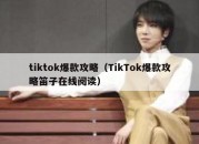 tiktok爆款攻略（TikTok爆款攻略笛子在线阅读）