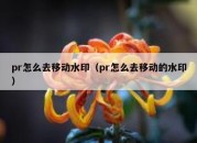 pr怎么去移动水印（pr怎么去移动的水印）