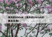 海外的tiktok（海外的tiktuk的美女头像）