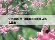 tiktok应用（tiktok应用商店怎么没有）