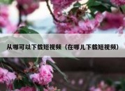 从哪可以下载短视频（在哪儿下载短视频）