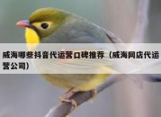 威海哪些抖音代运营口碑推荐（威海网店代运营公司）