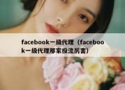 facebook一级代理（facebook一级代理那家投流厉害）