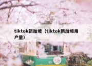 tiktok新加坡（tiktok新加坡用户量）