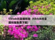 tiktok抖音国际版（tiktok抖音国际版免费下载）