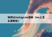 如何让Instagram涨粉（ins上怎么涨粉丝）