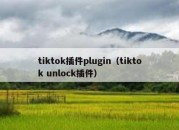 tiktok插件plugin（tiktok unlock插件）