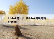 tiktok是什么（tiktok跨境电商好做吗）