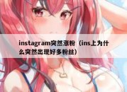 instagram突然涨粉（ins上为什么突然出现好多粉丝）