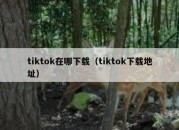 tiktok在哪下载（tiktok下载地址）