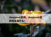 deepseek官网，deepseek官网地址是什么！