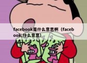 facebook是什么意思啊（facebook,什么意思）