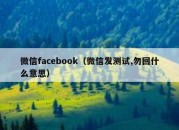 微信facebook（微信发测试,勿回什么意思）