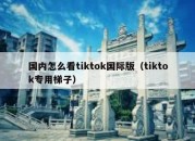 国内怎么看tiktok国际版（tiktok专用梯子）