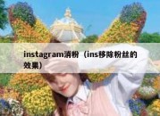 instagram消粉（ins移除粉丝的效果）