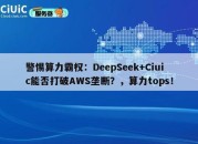警惕算力霸权：DeepSeek+Ciuic能否打破AWS垄断？，算力tops！