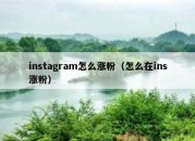 instagram怎么涨粉（怎么在ins涨粉）