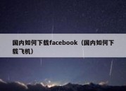 国内如何下载facebook（国内如何下载飞机）