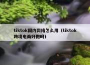 tiktok国内网络怎么用（tiktok跨境电商好做吗）