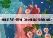 哪里的竞价托管好（竞价托管公司操作流程）